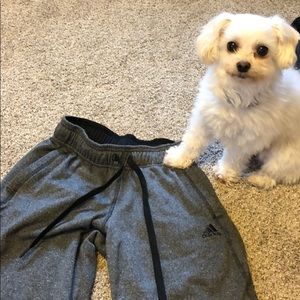 Women’s Adidas climawarm pants